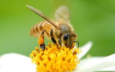 ��ֹ���۷���ҧ��������� www.027eat.com