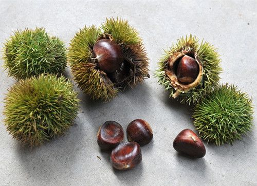 ʮ�ֶ����������ʳ�� www.027eat.com