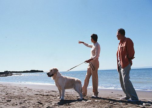 ������������ʮ����ҩ���� www.027eat.com