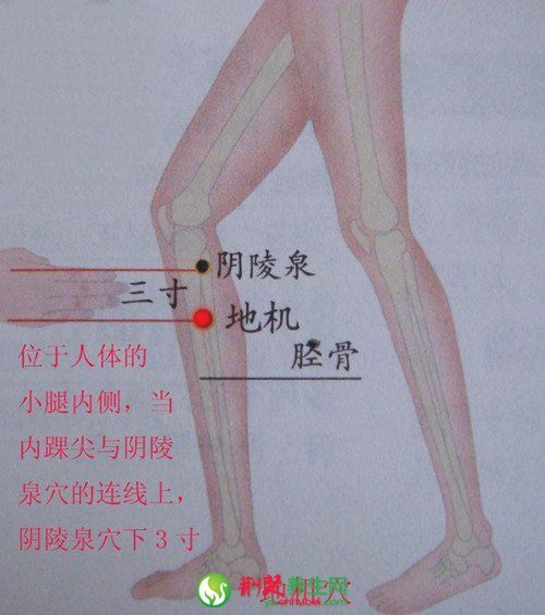 ������Ħ��׼&ldquo;3D&rdquo; www.027eat.com