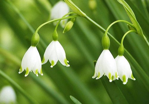 �＾��ʳҪע��ʲô �＾Ů����ʳ9��9���� www.027eat.com