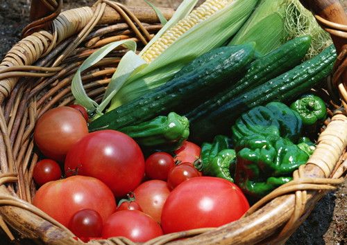 �＾��ʳ��ʳ����� ���λ�θ www.027eat.com