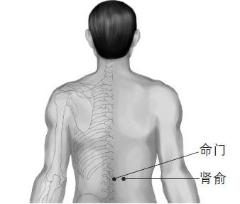 ��Ħ&ldquo;8��Ѩλ&rdquo; �����Թ��� www.027eat.com