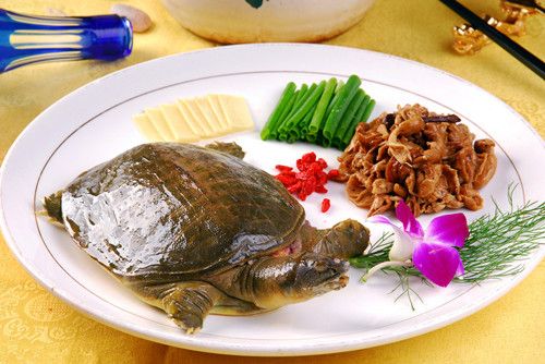 �����к�̥����18��ʳ�� www.027eat.com