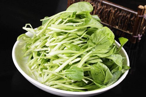 ���ʺ϶��������������� ���Զ��ݫ��Ҷ www.027eat.com