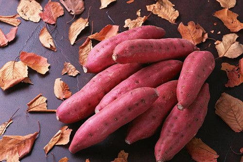 �����Ŷ��ķ��� ������Ŷ� www.027eat.com