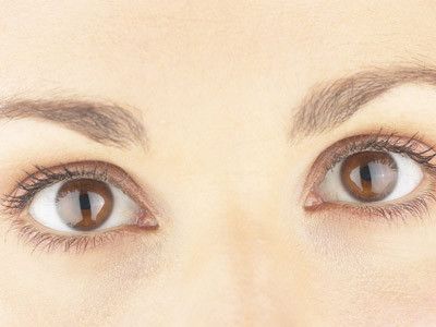 �ϰ�������������10������ www.027eat.com