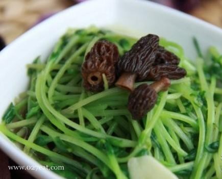 ��Ǿ�Ũ���ж��������