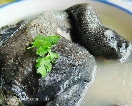 �̲����� �����ڼ���������,�����,�����ڼ�����ô���ó���ϸ����ͼ�������