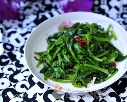 �����Ͳ��ĵ�����