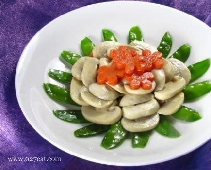 Ģ��������������