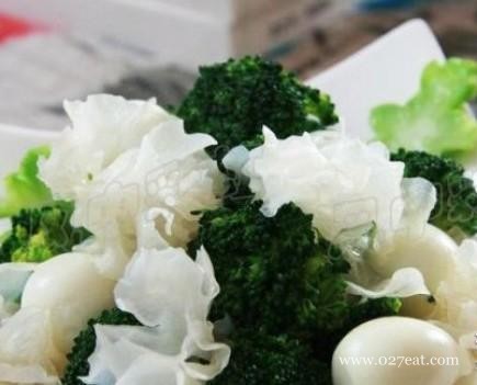 ѩ���������ȵ�������,�����,ѩ���������ȵ���ô���ó���ϸ����ͼ�������