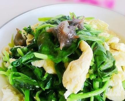 ���˳�����������