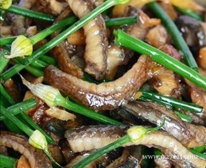 �²˻�����˿������