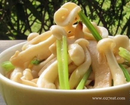 �ʹ��۲�����˿������