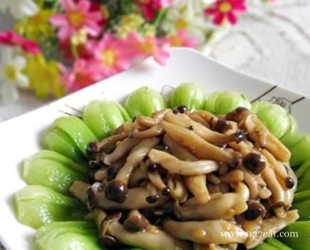 зζ����С�Ͳ˵�����