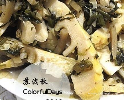 ѩ�˴��������