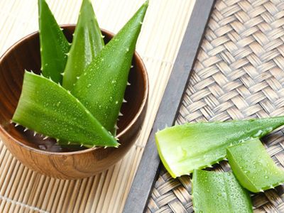 ����«����ʲô������Ч www.027eat.com