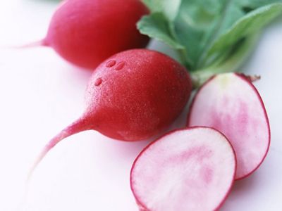 �������ܲ�����������Щ�� www.027eat.com