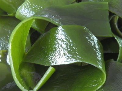 ��֪����������ʵӪ����ֵ�� www.027eat.com