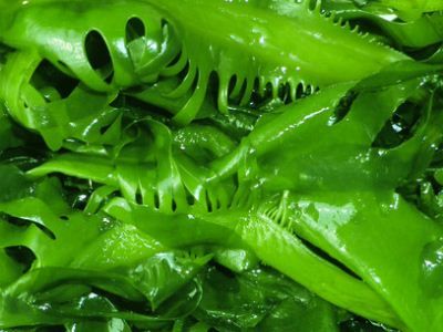 ��Ժ�����ǿ������ www.027eat.com