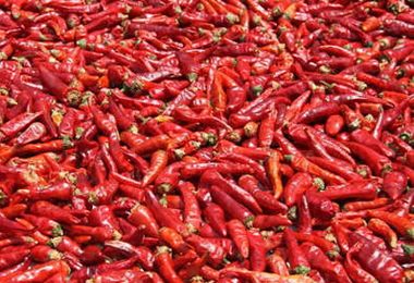 9����Ⱥǧ��Ҫ������ www.027eat.com