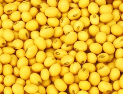 �ƶ�10��Ӫ����Ч���ر� www.027eat.com