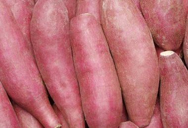 �ļ��Ŷ�������ǿ��20��ʳ�� www.027eat.com