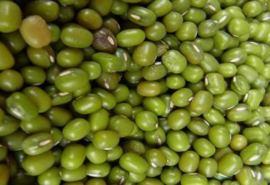 �ļ��Ŷ�������ǿ��20��ʳ�� www.027eat.com