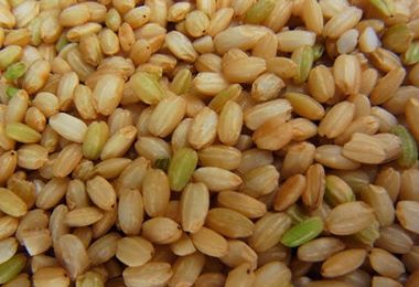 �ļ��Ŷ�������ǿ��20��ʳ�� www.027eat.com