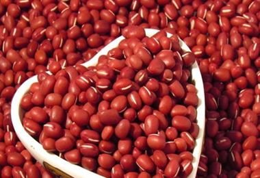 �ļ��Ŷ�������ǿ��20��ʳ�� www.027eat.com