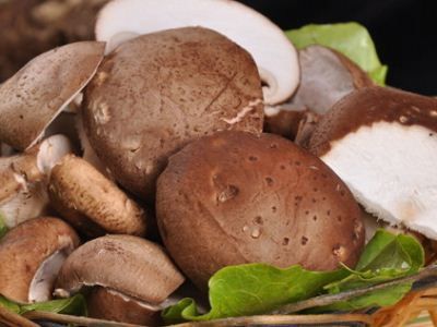 ��ͬҰ������Ӫ����ֵ www.027eat.com