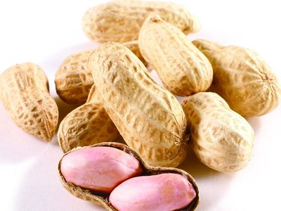 ������Ⱥ�Ի�������Σ�� www.027eat.com