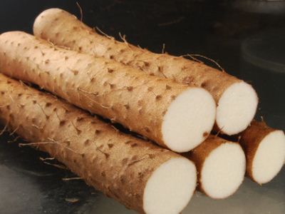 ɽҩ����Щ��Ч������ www.027eat.com