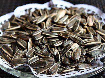 �����ӵ�Ӫ����ֵ��� www.027eat.com