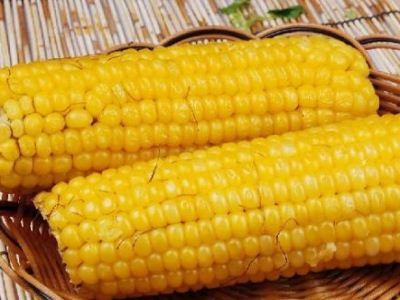 �������״������Ĵ�ô� www.027eat.com