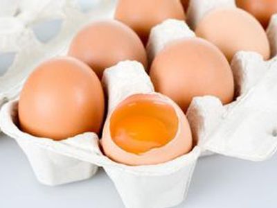 ���Լ����Ƿ��кô��� www.027eat.com