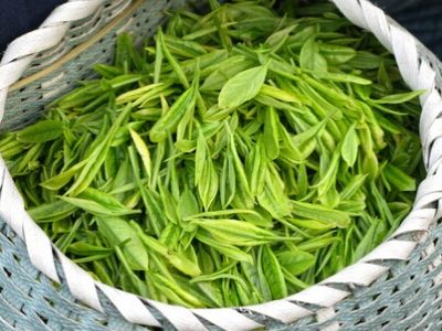 ��Ҷ���ع�Ч������ֹ������ www.027eat.com