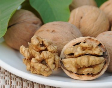 �����ǲ�Ѫ��˥�ϵĹ�����ͼƬ�� www.027eat.com