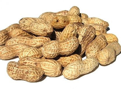 ������֪�����������Ӫ�� www.027eat.com