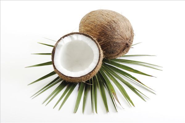 Ҭ�ӽ�����Ӫ�� ȫ�����Ǳ� www.027eat.com