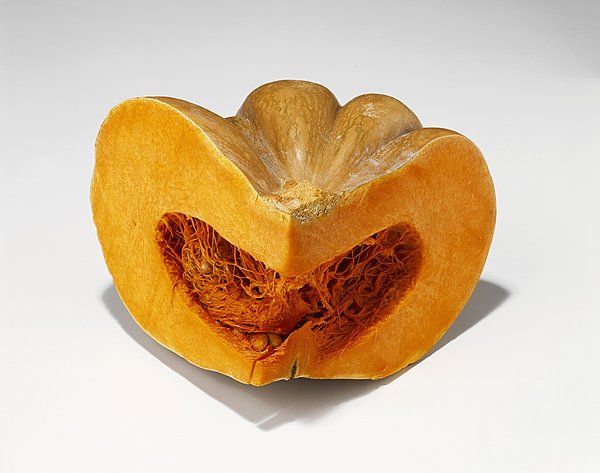 ��Ȼά�����߲�֮��&mdash;�Ϲ� www.027eat.com