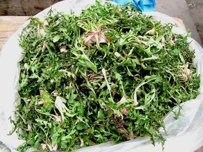 ���Ŷ�Ӧ�������Բ������ڽ��� www.027eat.com