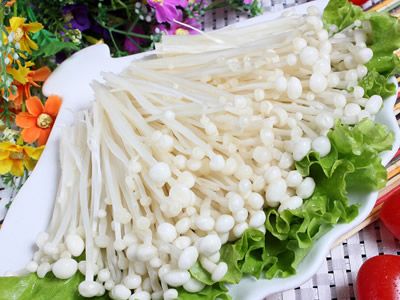 ���빽��Ӫ�� ����Ԥ����Ѫ֬ www.027eat.com