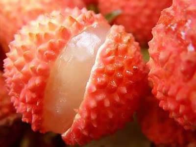 ���ֹ�ʵ��Ӫ�� ���˸��ǲ�ѷɫ www.027eat.com