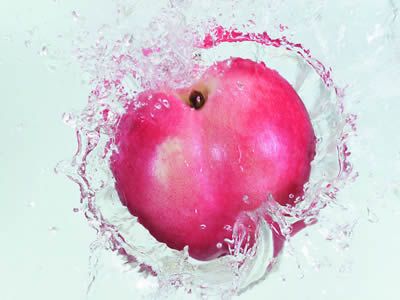 ������ʳ�ɹ��� ����ʳ������� www.027eat.com