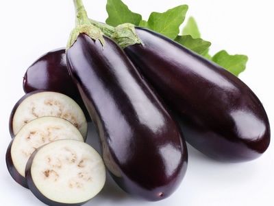 ����ʳ�������� �������С��ʹ www.027eat.com