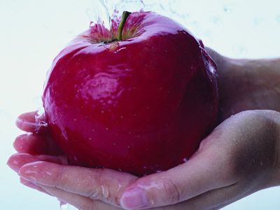 ʮ������ ���㰮��Ӫ��ƻ�� www.027eat.com