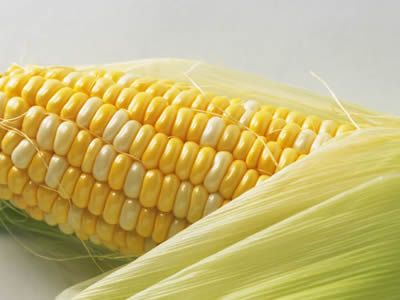 ��ʳ������ �ɷ����ೣ������ www.027eat.com