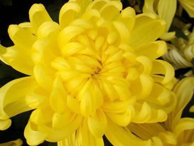 �������޶ȷ��Ӿջ��ĺ�ҩЧ www.027eat.com